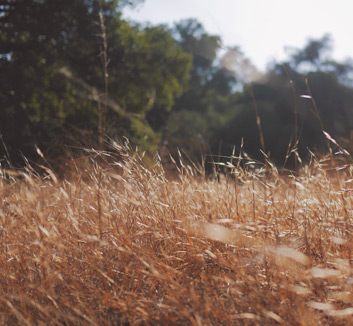 AC米兰尴尬连败，球迷呼吁主帅改革阵容