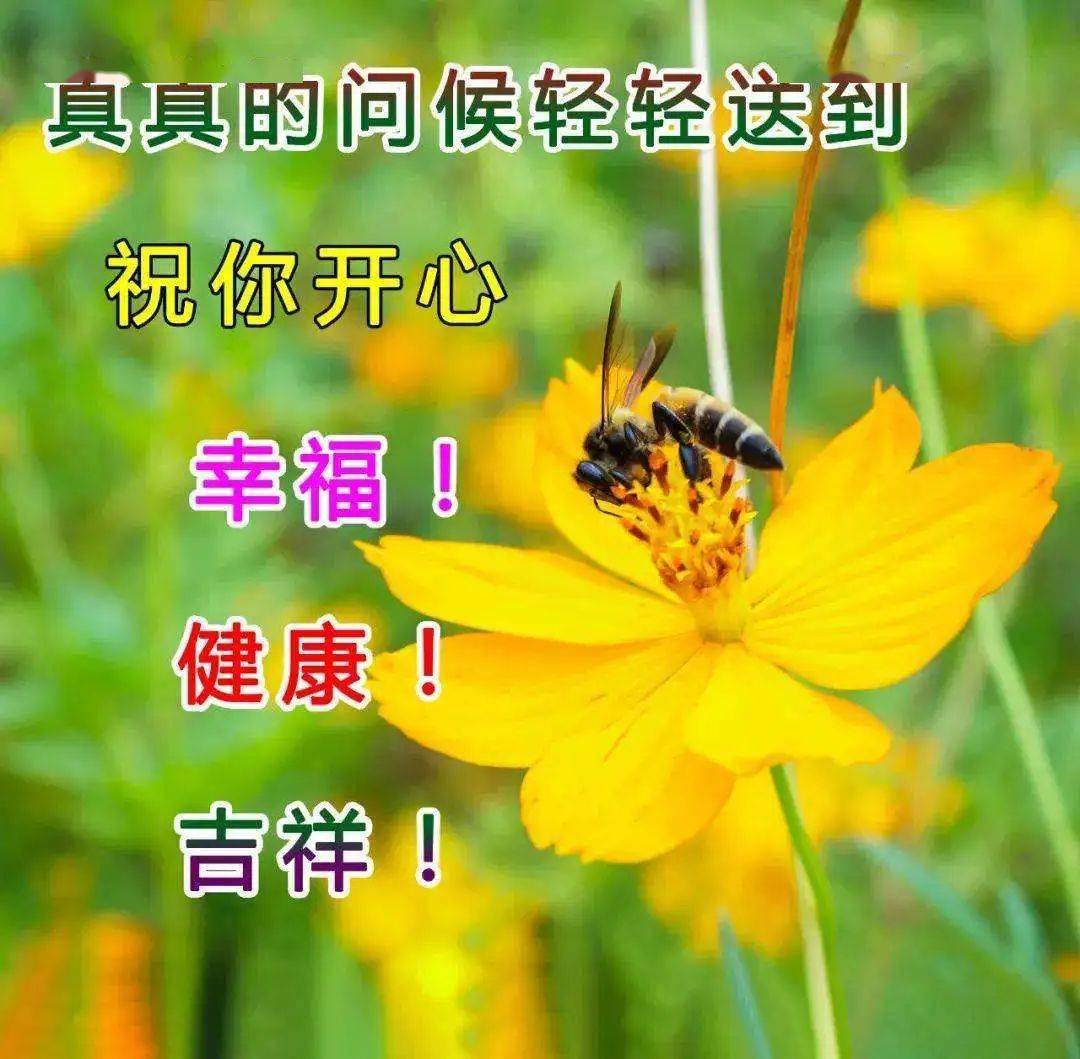 凯发体育登录入口-阿拉巴祝福穆西亚拉：保持坚强！祝你顺利、完全康复！的简单介绍
