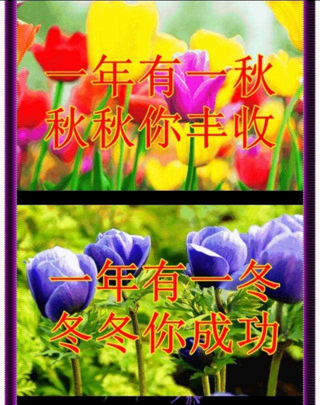 阿拉巴祝福穆西亚拉：保持坚强！祝你顺利、完全康复！的简单介绍