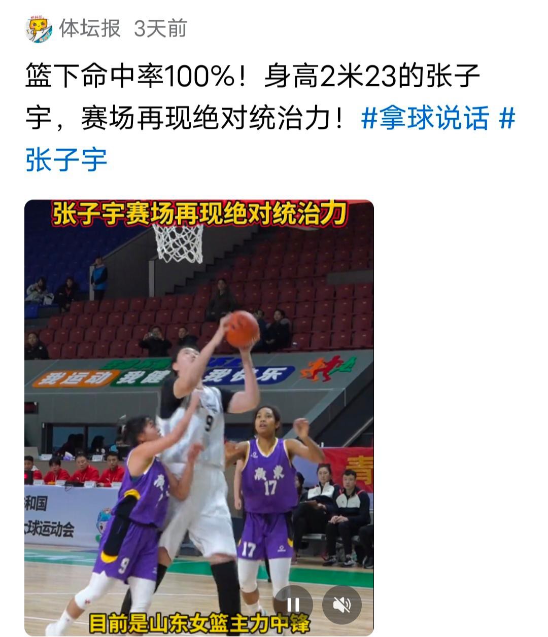 关于制霸篮下🦈张子宇出战14分半钟13中9砍下18分10板&正负值+11的信息