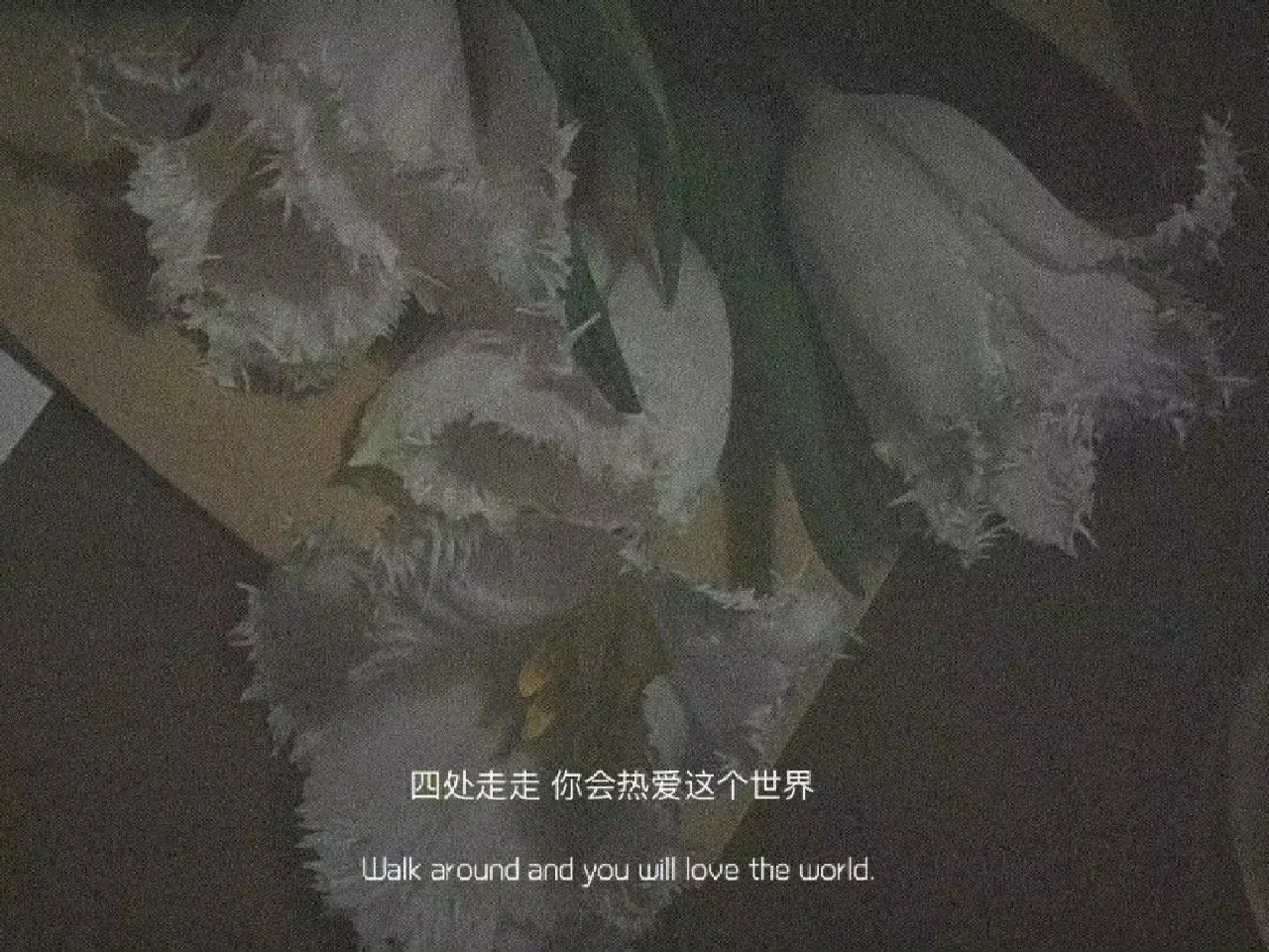 凯发体育app-赵俊峰分享休赛期日常：希望我热爱的，你也会喜欢的简单介绍